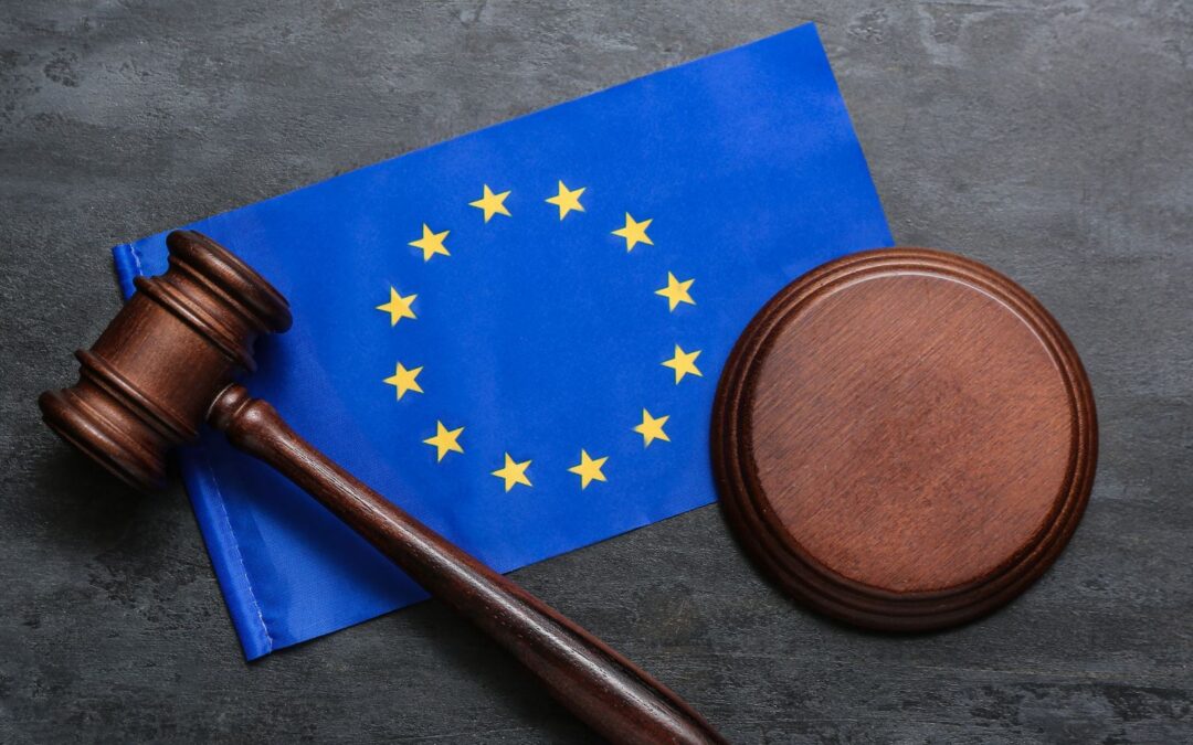 Frankowicze | Podsumowanie najważniejszych wyroków TSUE 2023 – część II