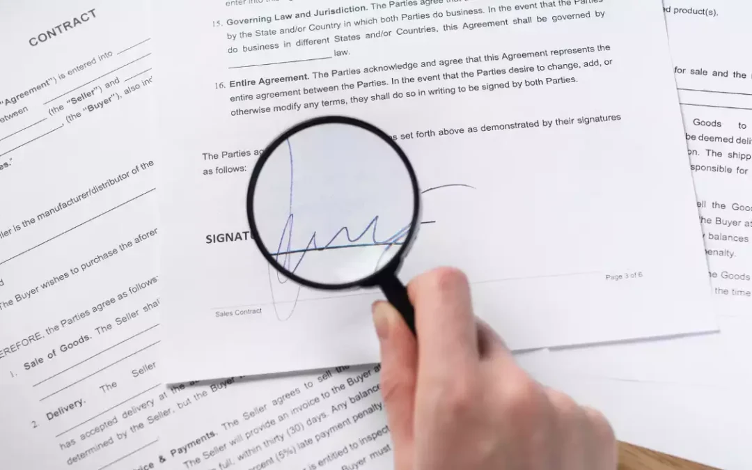 Frankowicze wygrywają w sądzie – dlaczego tak się dzieje?